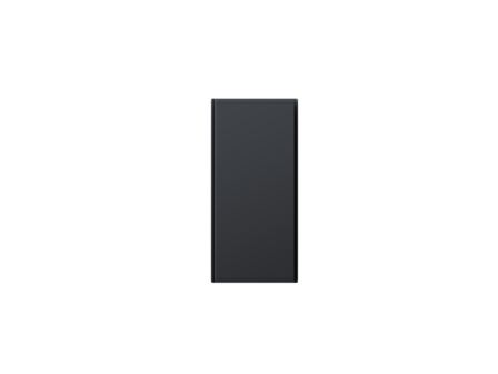 Radialight Icon anthracite front
