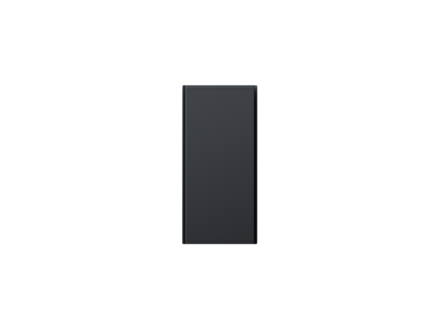 Radialight Icon anthracite front